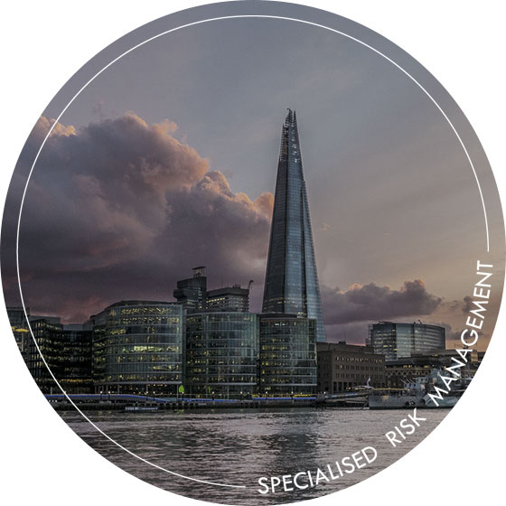 Specialised Risk Management